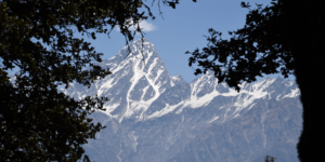 Himalayan Mountains seen against the foreground of greenery. Pure Himalayan Shilajit is sourced from here by Biotics Edge